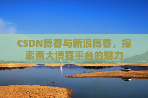 CSDN博客与新浪博客，探索两大博客平台的魅力